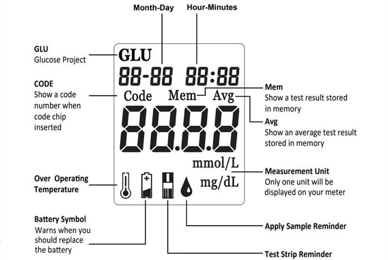 Blood Sugar Monitoring Kit - Display